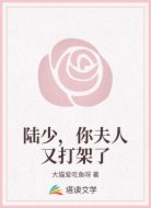 陆少,你夫人又打架了
