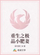 重生之极品小肥妻