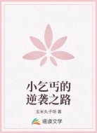 小乞丐的逆袭之路