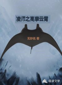 凌师之高摩云霄