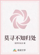 莫寻不知归处