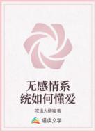 无感情系统如何懂爱