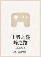 王者之巅峰之路