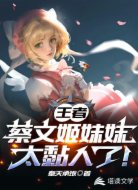 王者：蔡文姬妹妹太黏人了！