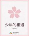 少年的相遇