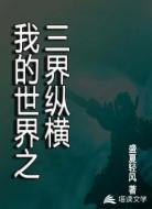 我的世界之纵横三界