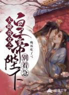 天降奇女之皇帝陛下別著急