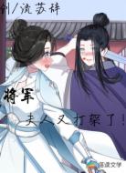 将军夫人又打架了