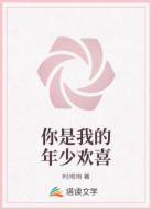 你是我的年少欢喜