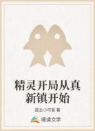 精靈開局從真新鎮(zhèn)開始