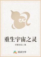 重生宇宙之灵