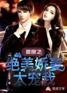 赘婿之绝美娇妻太宠我