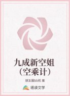九成新空姐 (空乘计)
