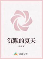 沉默的夏天