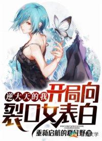 书名
