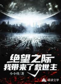 书名