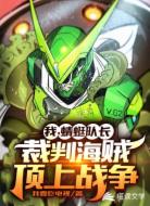 我,蜻蜓队长,裁判海贼顶上战争