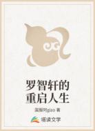 罗智轩的重启人生