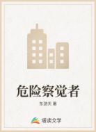 危险察觉者