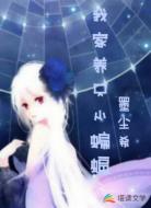 我家养只小蝙蝠
