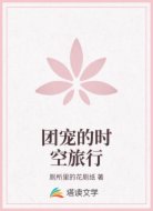团宠的时空旅行