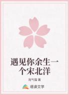 遇见你余生一个宋北洋