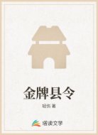 金牌县令