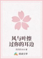 风与叶擦过你的耳边