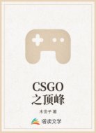 CSGO之顶峰