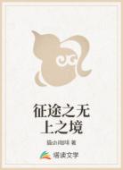 征途之无上之境