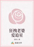 狂拽老婆爱追星