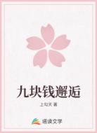 九块钱邂逅