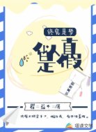 似真是假