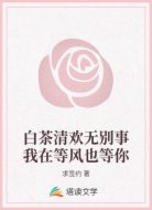 白茶清欢无别事我在等风也等你