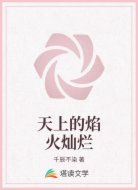 天上的焰火灿烂