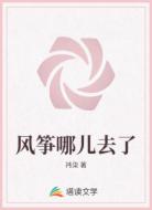 风筝哪儿去了