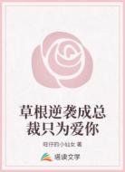 草根逆襲成總裁只為愛你