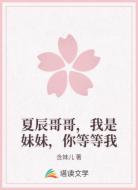 夏辰哥哥，我是妹妹，你等等我