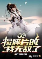王者：捡碎片的我无敌了