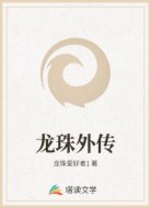 龙珠外传