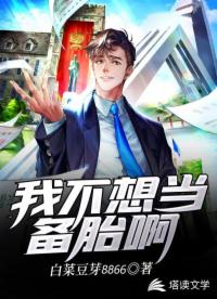 书名