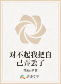 对不起我把自己弄丢了