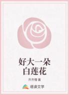 好大一朵白莲花