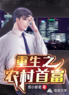 重生之農(nóng)村首富