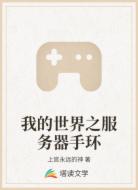 我的世界之服务器手环