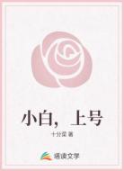 小白,上号