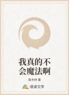 我真的不会魔法啊