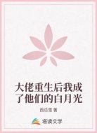 大佬重生后我成了他们的白月光