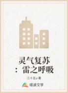 灵气复苏:雷之呼吸