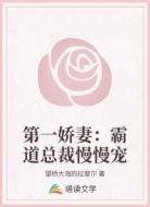 第一娇妻：霸道总裁慢慢宠
